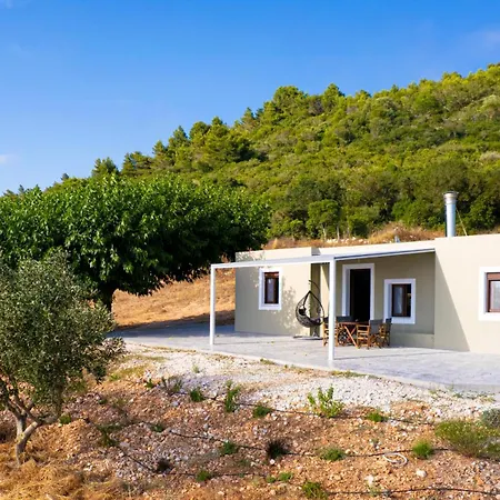 Mulberry Tree House *